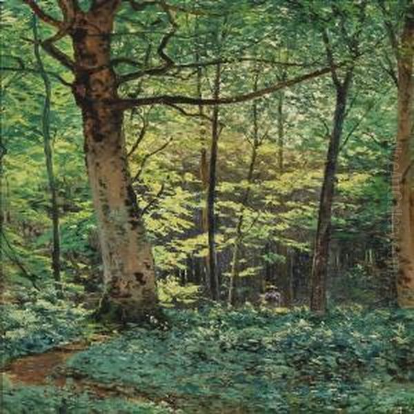 Forrest Scenery With Woman - view 1