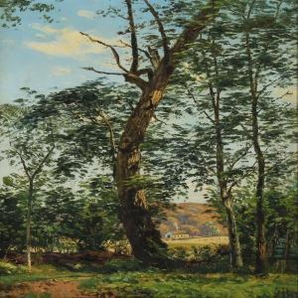 Forrest Scenery - view 1