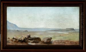 Icelandic Plain With A View Of Snowy Mountains by Thorarinn Benedikt Thorlakson