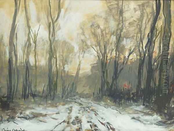 A forest path in winter - view 1