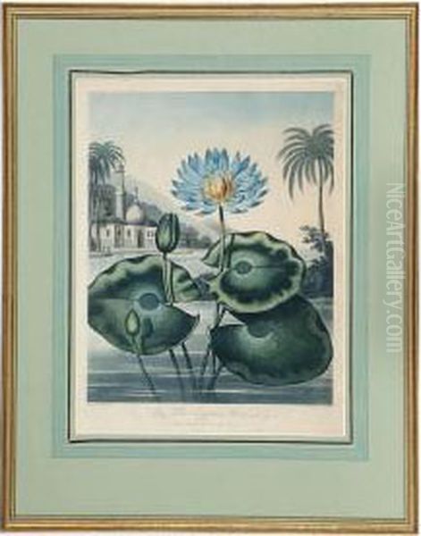 The Temple Of Flora: Seven Plates by Robert John, Dr. Thornton