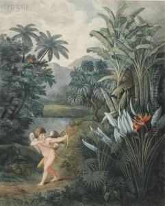 Temple Of Flora by Robert John, Dr. Thornton