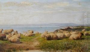 "on The East Hill by John Thorpe