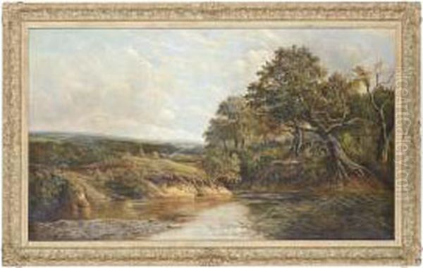 Gathering Fire Wood - view 1