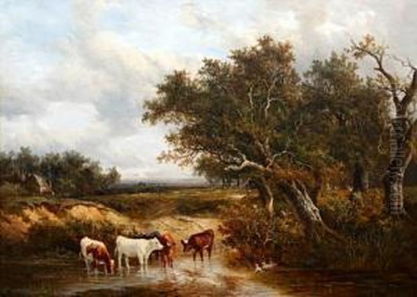 Cattle Watering In An Extensive Wooded Landscape - view 1