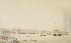 A Pair Of Views From The Harbour Of Rio De Janeiro by Hans Peter Thorsoe
