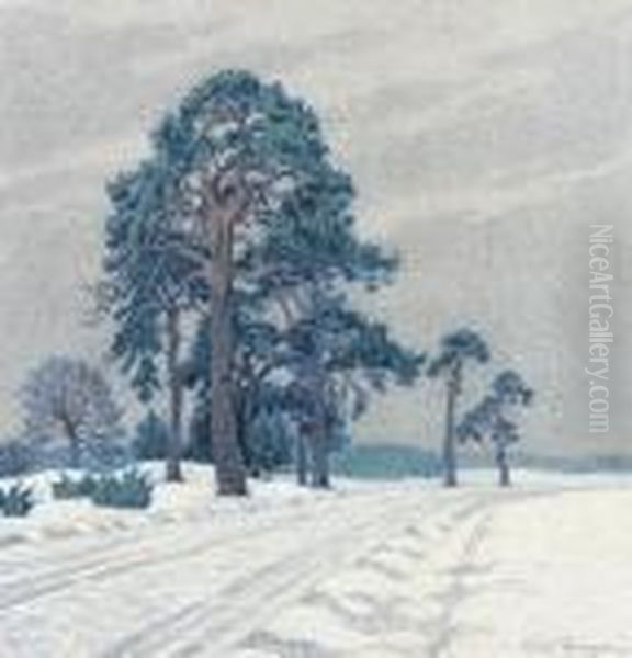 Vinterlandskap Med Tallar - view 1