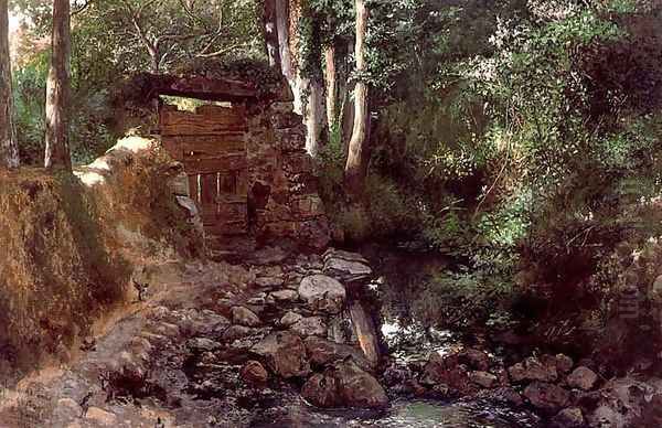 El rincón de los pájaros - view 1