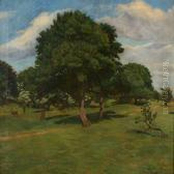 Summer Day At Kndushoved, Denmark - view 1