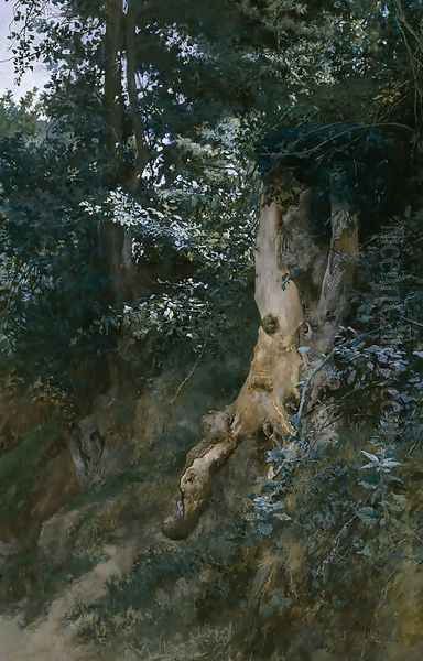 Paisaje boscoso - view 1
