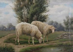 Schapen Aan De Drinkplaats by H. Thys