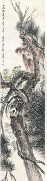 Monkey On The Pine Tree - view 1