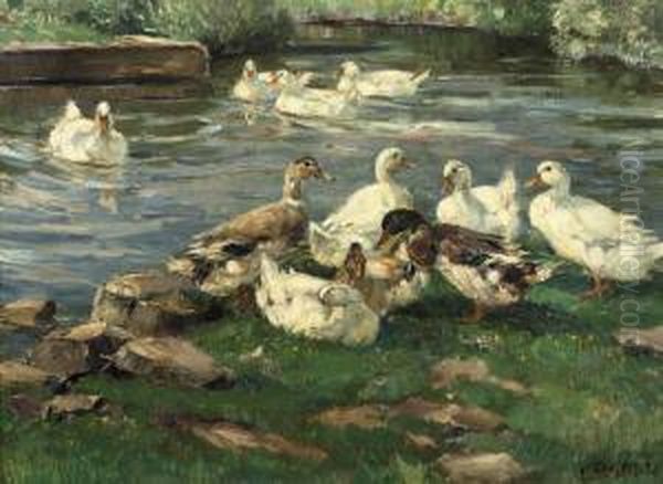 Enten Am Bach: Ducks By A Pond - view 1