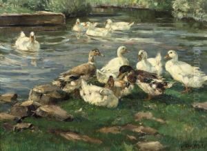 Enten Am Bach: Ducks By A Pond by Willy Tiedjen