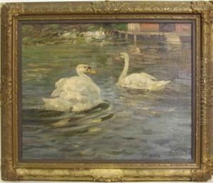 Schwane Im Teich by Willy Tiedjen