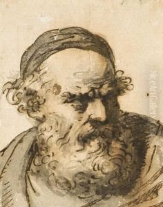 Testa Virile