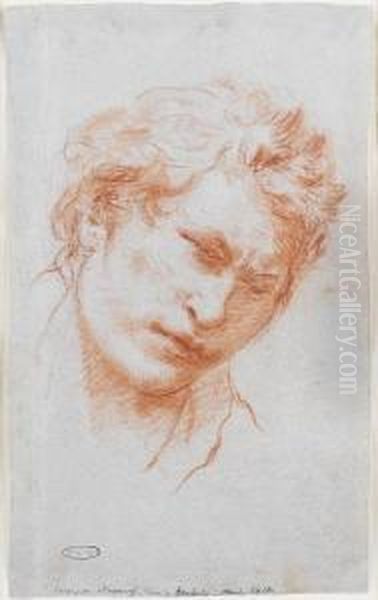 Head Of A Young Man - view 1