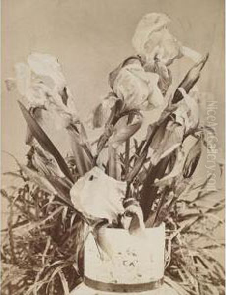Vase With Irises - view 1