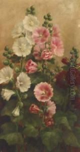 Hollyhock by Mary Adeline Tiffany