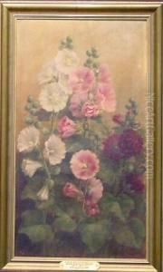 Hollyhocks