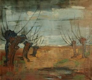 Landschap Met Knotwilgen