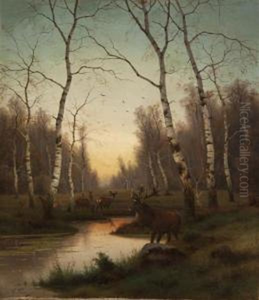 Elk Among The Trees - view 1