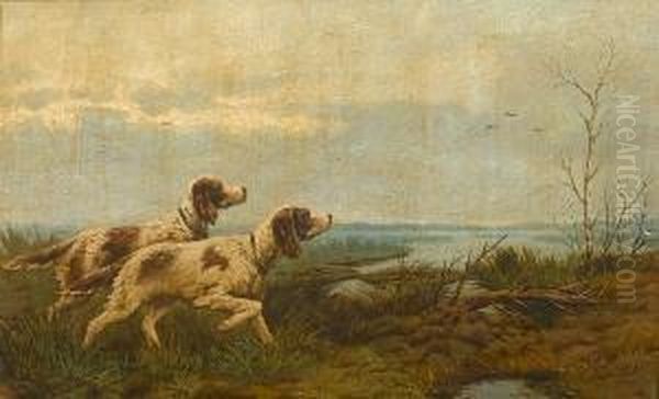 English Setters On Point - view 1
