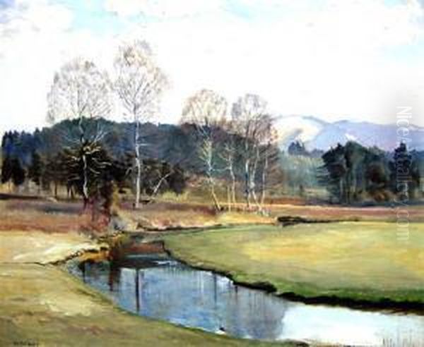 Foot Of The Alps, South Munich - view 1