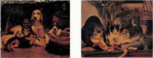 chiens> Et <chats - view 1