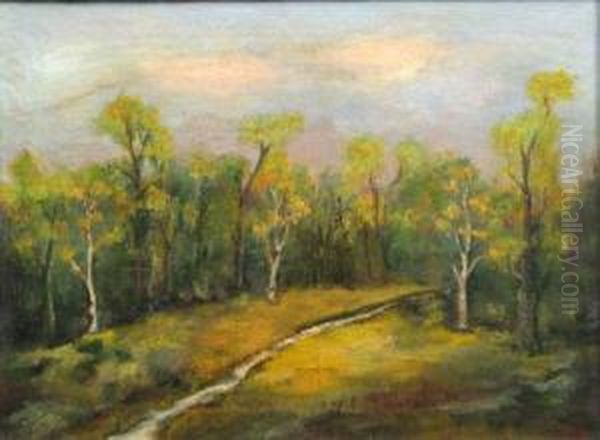 "drum In Padure" - view 1