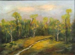"drum In Padure" by Nicolae Tincu