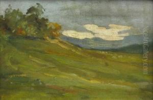 Peisaj by Nicolae Tincu