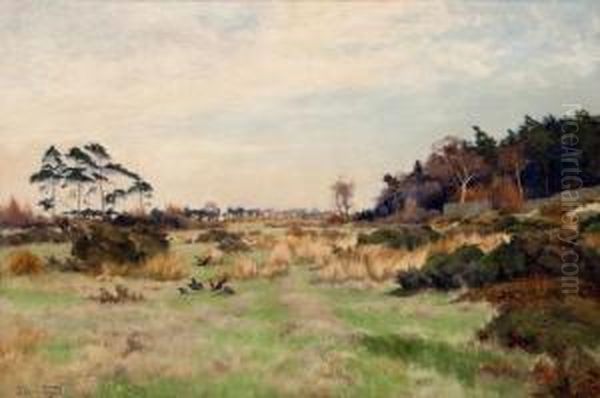 Near Harewood Park, Yorks - view 1