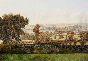 A Garden Landscape In The West Country by S. B. Anderson