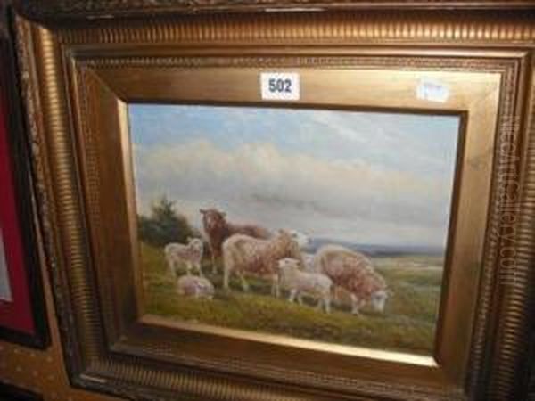 Sheep Grazing In A Landscape - view 1