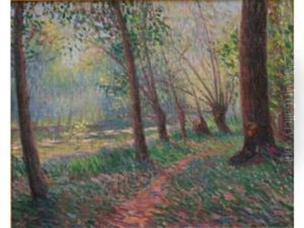 Sous-bois Pres D'un Cours D'eau - view 1