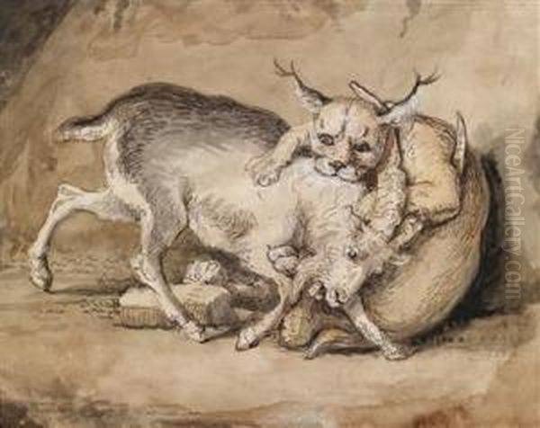 Ein Bock Wir Von Einem Luchs
Angefallen, - view 1