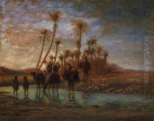 Chameaux Sedesalterant Dans L'oued