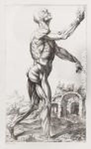 Notomie Di Tiziano Dedicate All'ill.mo Sig. Francesco Ghislieri... by Tiziano Vecellio (Titian)
