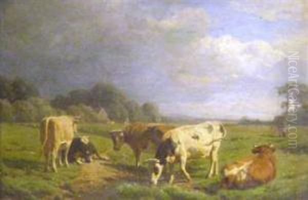 Cows In A Meadow - view 1