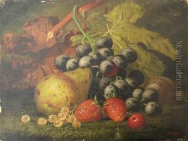 Summer Fruits - view 1