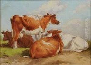 Cattle In A Field by Ralph Todd