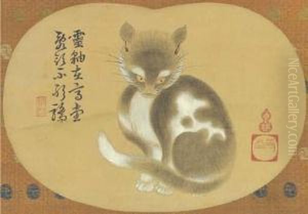 Cat - view 1