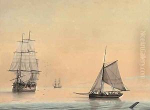 Shipping in a calm