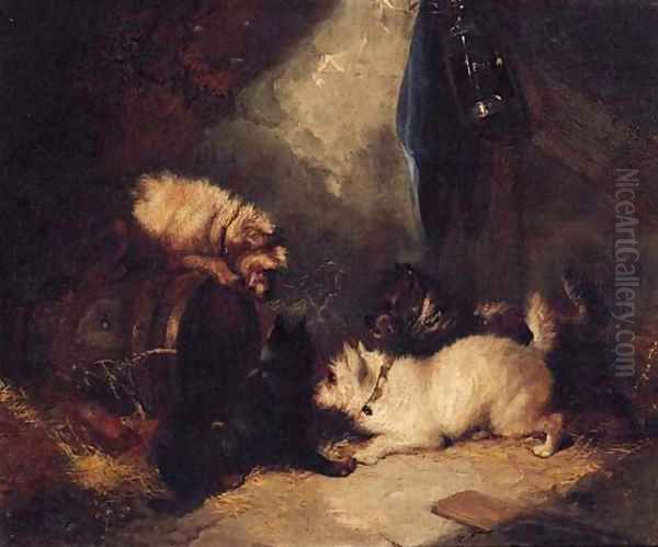 Terriers ratting in a Barn - view 1