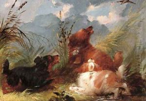Spaniels flushing out snipe by George Armfield