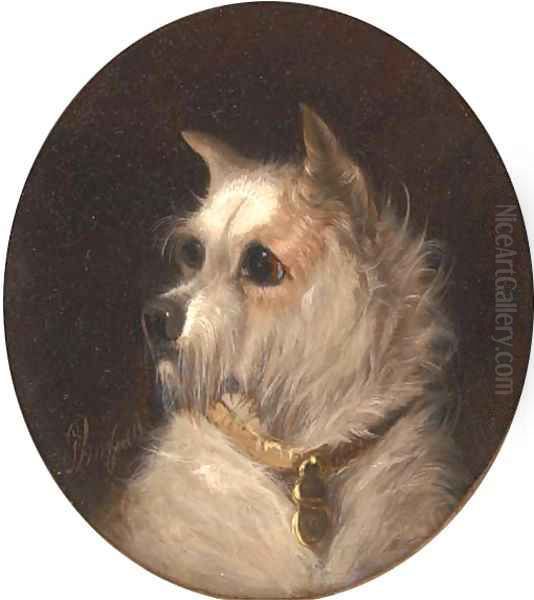 A terrier - view 1