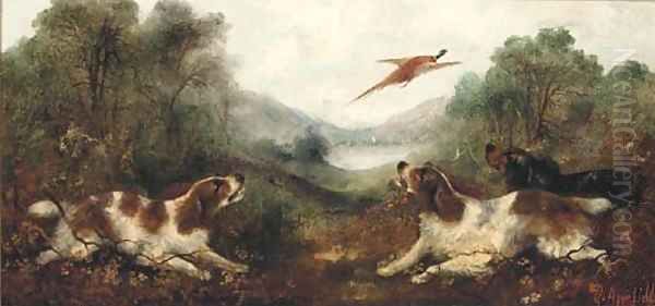 Spaniel putting a pheasant up - view 1