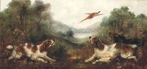 Spaniel putting a pheasant up by George Armfield