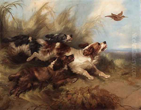 Spaniels putting up - view 1